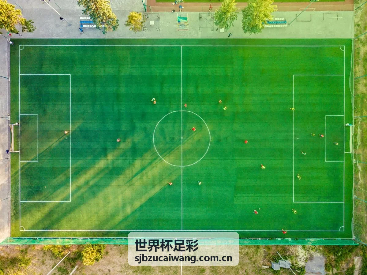 世界杯足彩品牌故事 - 专业数据分析背景